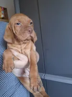 processed/a97a80a7-a193-4234-87f9-70368dc07d99/listing/f07c3bd5-93e5-4a8d-b0a0-476aa1056dd6/49ae7850-53bc-4a00-9739-64084a141ee0