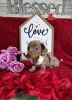 processed/a97d2384-0dfd-4392-b847-c8082acfb58c/listing/357d647e-83f6-48b2-8983-61346644296c/3094ba3f-6458-49fe-aec4-e6a669dc5750