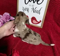 processed/a97d2384-0dfd-4392-b847-c8082acfb58c/listing/357d647e-83f6-48b2-8983-61346644296c/c0df14b5-79de-474b-8719-e1cfb78958b1