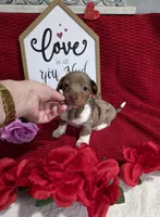 processed/a97d2384-0dfd-4392-b847-c8082acfb58c/listing/357d647e-83f6-48b2-8983-61346644296c/d4c9ebd6-8fd2-4328-a00f-6c8446f51a36