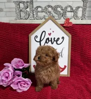 processed/a97d2384-0dfd-4392-b847-c8082acfb58c/listing/39574aa7-ae59-40d3-959c-dbf1f3490584/d4505d9d-336e-4f0f-90f5-a6eb7d7354d6