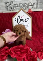 processed/a97d2384-0dfd-4392-b847-c8082acfb58c/listing/39574aa7-ae59-40d3-959c-dbf1f3490584/d8a32f7c-4236-4293-af1a-60850b2cd984