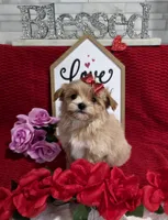 processed/a97d2384-0dfd-4392-b847-c8082acfb58c/listing/7788e3e2-24d1-44f6-9ee8-671d89c1f8c5/0e3f0f54-0904-4833-99f7-d0cdcd09e39b