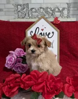 processed/a97d2384-0dfd-4392-b847-c8082acfb58c/listing/7788e3e2-24d1-44f6-9ee8-671d89c1f8c5/e973a7b2-db1e-4af7-86b2-ff6a29cc2111