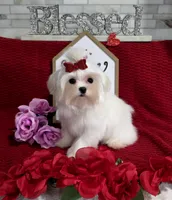 processed/a97d2384-0dfd-4392-b847-c8082acfb58c/listing/7c164af2-8577-4ad7-9a95-cbaea57a4c52/3fe5499a-351b-4d20-9db6-a906f0b6ea62