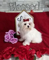 processed/a97d2384-0dfd-4392-b847-c8082acfb58c/listing/7c164af2-8577-4ad7-9a95-cbaea57a4c52/6a8f3d59-459e-4f3e-93da-3f475a2c54b9