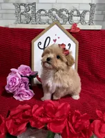 processed/a97d2384-0dfd-4392-b847-c8082acfb58c/listing/7f4a19f4-b94f-4325-a449-e7998d3f9777/25fd549a-82a2-449d-8bb1-cfd0a27bba9d