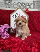 processed/a97d2384-0dfd-4392-b847-c8082acfb58c/listing/7f4a19f4-b94f-4325-a449-e7998d3f9777/6549b91b-d8f1-4dd8-8013-0ae2c14680a4