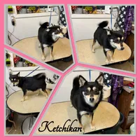 processed/a985b129-fe4b-4730-95d8-6b65eac26769/listing/56b4171c-bb12-4a44-9533-b90e69d7f007/76825da4-9884-4f55-a408-9520c6fd8eec