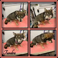 processed/a985b129-fe4b-4730-95d8-6b65eac26769/listing/85a21827-8605-4db3-9e93-6759c73aef52/380bdf02-d0b8-413e-a41f-4c8ec285a9c4