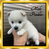 processed/a985b129-fe4b-4730-95d8-6b65eac26769/listing/85a21827-8605-4db3-9e93-6759c73aef52/72e15a59-0a17-4bda-96b0-2b08b1a6e02c