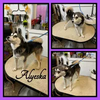 processed/a985b129-fe4b-4730-95d8-6b65eac26769/listing/85a21827-8605-4db3-9e93-6759c73aef52/97d8a4de-9b18-409c-bb25-d8f9d4566704