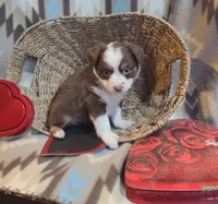 processed/a9874ad6-5888-4d82-8a40-ef6576064f70/listing/0c49c973-9dca-4b07-8f74-e128336f36ec/5355028e-cb18-4b7e-b217-1bf7bbdd78b9