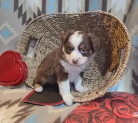 processed/a9874ad6-5888-4d82-8a40-ef6576064f70/listing/0c49c973-9dca-4b07-8f74-e128336f36ec/79b62fa4-611d-4217-b0a5-faa3d0e40677