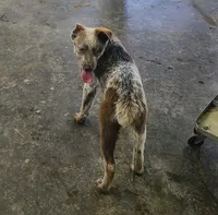 processed/a9874ad6-5888-4d82-8a40-ef6576064f70/listing/311b1483-a7ee-4174-a8c6-ced38bd6885a/cadb741a-226b-40e8-b61e-efea6277598c