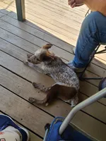 processed/a9874ad6-5888-4d82-8a40-ef6576064f70/listing/311b1483-a7ee-4174-a8c6-ced38bd6885a/d195eb30-f615-4e67-9afe-277de86c19ee