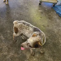 processed/a9874ad6-5888-4d82-8a40-ef6576064f70/listing/311b1483-a7ee-4174-a8c6-ced38bd6885a/d532438c-3416-4462-8434-a63b18d7af61