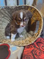 processed/a9874ad6-5888-4d82-8a40-ef6576064f70/listing/a9640ab7-08ea-444d-b44f-ef99b5ea8bc8/648f4bde-a900-4d78-b884-5e100114acea