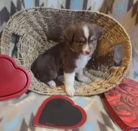 processed/a9874ad6-5888-4d82-8a40-ef6576064f70/listing/a9640ab7-08ea-444d-b44f-ef99b5ea8bc8/a7405df8-a637-45f9-9234-d2db9b4e88ca