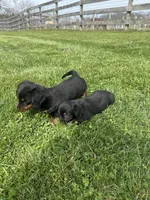 processed/a987a9e9-bfcb-4b10-a827-a24994ebe4da/facility/1242ac89-7d07-4faf-bb45-9706e513cf78