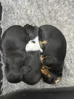 processed/a987a9e9-bfcb-4b10-a827-a24994ebe4da/facility/379ae05e-3c6e-4434-9e08-445f5e0af534