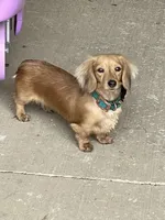 processed/a987a9e9-bfcb-4b10-a827-a24994ebe4da/facility/8bb3364a-5346-4a52-a889-ae50ba650e46