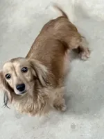 processed/a987a9e9-bfcb-4b10-a827-a24994ebe4da/facility/9bc2f9e9-7762-4b1a-8fe2-a98988cae3a3