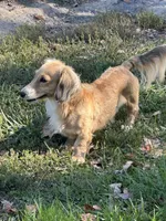 processed/a987a9e9-bfcb-4b10-a827-a24994ebe4da/facility/baf62ee5-6f29-40cd-aecb-edd86dcc7ffb