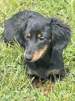 processed/a987a9e9-bfcb-4b10-a827-a24994ebe4da/facility/efc2e6d2-9ba2-4c44-a8b6-13bbf543aeb7