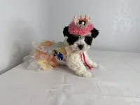 processed/a9903603-5c31-40eb-8813-5e55754a6fe3/listing/77e958ad-d591-4fdf-b057-a06dd17a82a1/4be862f5-e5a1-4e01-a92d-654cc6cfe1fc