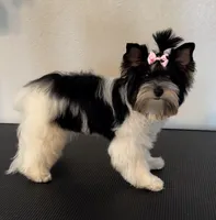 processed/a9903603-5c31-40eb-8813-5e55754a6fe3/listing/f5fcac4f-971e-4eff-8b12-f3f5f4fce84d/6b2866b9-7bd4-4a8d-b048-b58ddeacd3f0