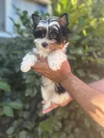 processed/a9903603-5c31-40eb-8813-5e55754a6fe3/listing/f5fcac4f-971e-4eff-8b12-f3f5f4fce84d/8d651a04-9783-47ef-bddf-07c30ad41f41