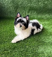 processed/a9903603-5c31-40eb-8813-5e55754a6fe3/listing/f5fcac4f-971e-4eff-8b12-f3f5f4fce84d/d96edbec-9eb5-4e09-be01-925dc806ac22