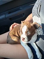 Facility photo
