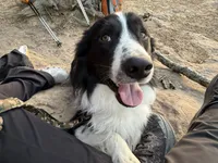 processed/a99a3ea3-6e91-473d-9e0c-4104e084e843/listing/c8708c74-9aad-4880-9357-31e888530598/13b783aa-806c-446c-913f-b8e9036672de