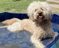 processed/a99a3ea3-6e91-473d-9e0c-4104e084e843/listing/c8708c74-9aad-4880-9357-31e888530598/13e7b7a8-3233-4d24-b970-001ff268deef