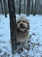 processed/a99a3ea3-6e91-473d-9e0c-4104e084e843/listing/c8708c74-9aad-4880-9357-31e888530598/1e5b16ed-fd1b-4961-9296-108f9626102b