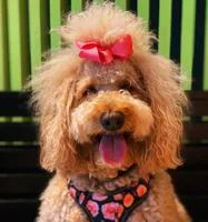 processed/a99a3ea3-6e91-473d-9e0c-4104e084e843/listing/c8708c74-9aad-4880-9357-31e888530598/20c8b6d2-36ff-4b14-9c4c-6dde97706204