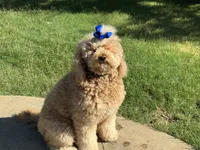 processed/a99a3ea3-6e91-473d-9e0c-4104e084e843/listing/c8708c74-9aad-4880-9357-31e888530598/44591fef-5055-41d7-8046-6f714445bcf5