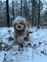 processed/a99a3ea3-6e91-473d-9e0c-4104e084e843/listing/c8708c74-9aad-4880-9357-31e888530598/4edb26dc-d7ce-45f8-b065-46ed06e83bfe