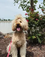 processed/a99a3ea3-6e91-473d-9e0c-4104e084e843/listing/c8708c74-9aad-4880-9357-31e888530598/bb4a3f0b-5cf3-4cbc-8ce3-8740b88793bf