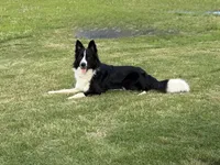 processed/a99a3ea3-6e91-473d-9e0c-4104e084e843/listing/c8708c74-9aad-4880-9357-31e888530598/bc30ca91-8f39-4ae6-af18-ab638efed59a