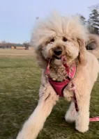 processed/a99a3ea3-6e91-473d-9e0c-4104e084e843/listing/c8708c74-9aad-4880-9357-31e888530598/bfbb2ec7-65da-4e0b-ba0a-cd40ff4e3317