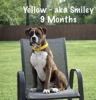 processed/a9ae8038-2c21-48db-b46b-3db95b2b8a07/listing/70ecc936-11a7-46fb-9c26-1664c592c989/1092b8b2-2289-4fe9-b962-70e574d8f20c