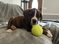 processed/a9ae8038-2c21-48db-b46b-3db95b2b8a07/listing/70ecc936-11a7-46fb-9c26-1664c592c989/2bed46ca-6b63-4ee4-b024-39bad0cb6c6d