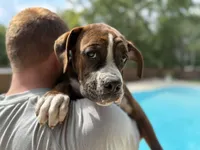 processed/a9ae8038-2c21-48db-b46b-3db95b2b8a07/listing/70ecc936-11a7-46fb-9c26-1664c592c989/5be4e9d6-869f-4ed1-a28d-e9bee415d365