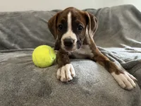 processed/a9ae8038-2c21-48db-b46b-3db95b2b8a07/listing/70ecc936-11a7-46fb-9c26-1664c592c989/96c395f3-c8fa-413a-a24d-1dc4bc3b935d