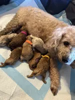 processed/a9b40619-54dc-4616-b628-d6fe5d6e6a86/listing/c5c20236-af6d-4aaf-a138-bb0a009ba407/c88e29ef-99db-4437-8204-5d36bb24d719