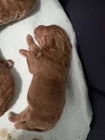 processed/a9b40619-54dc-4616-b628-d6fe5d6e6a86/listing/c5c20236-af6d-4aaf-a138-bb0a009ba407/e3878337-f05e-4f1f-bb97-f4e0c2d80999