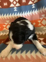 processed/a9befc57-754e-4137-8cbb-b8b26737659f/listing/15727077-9c02-4d6e-baf7-94ca83ab0532/0c618c33-3351-4ffc-b77b-9c0a614e08ca